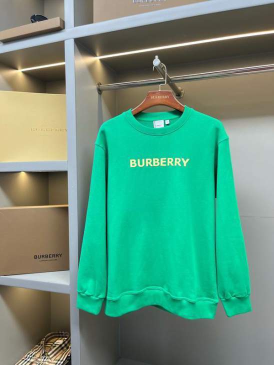 Picture of Burberry Sweatshirt _SKUBurberryS-2XLaztx859730938